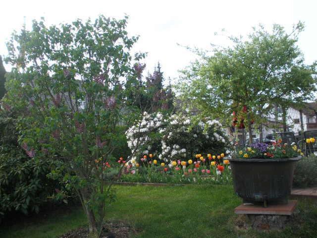 Waldbrunn  Ferienwohnung Irmgard Und Ferienwohnung Gerlinde מראה חיצוני תמונה